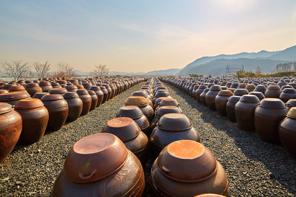 brown clay jars laid on the ground