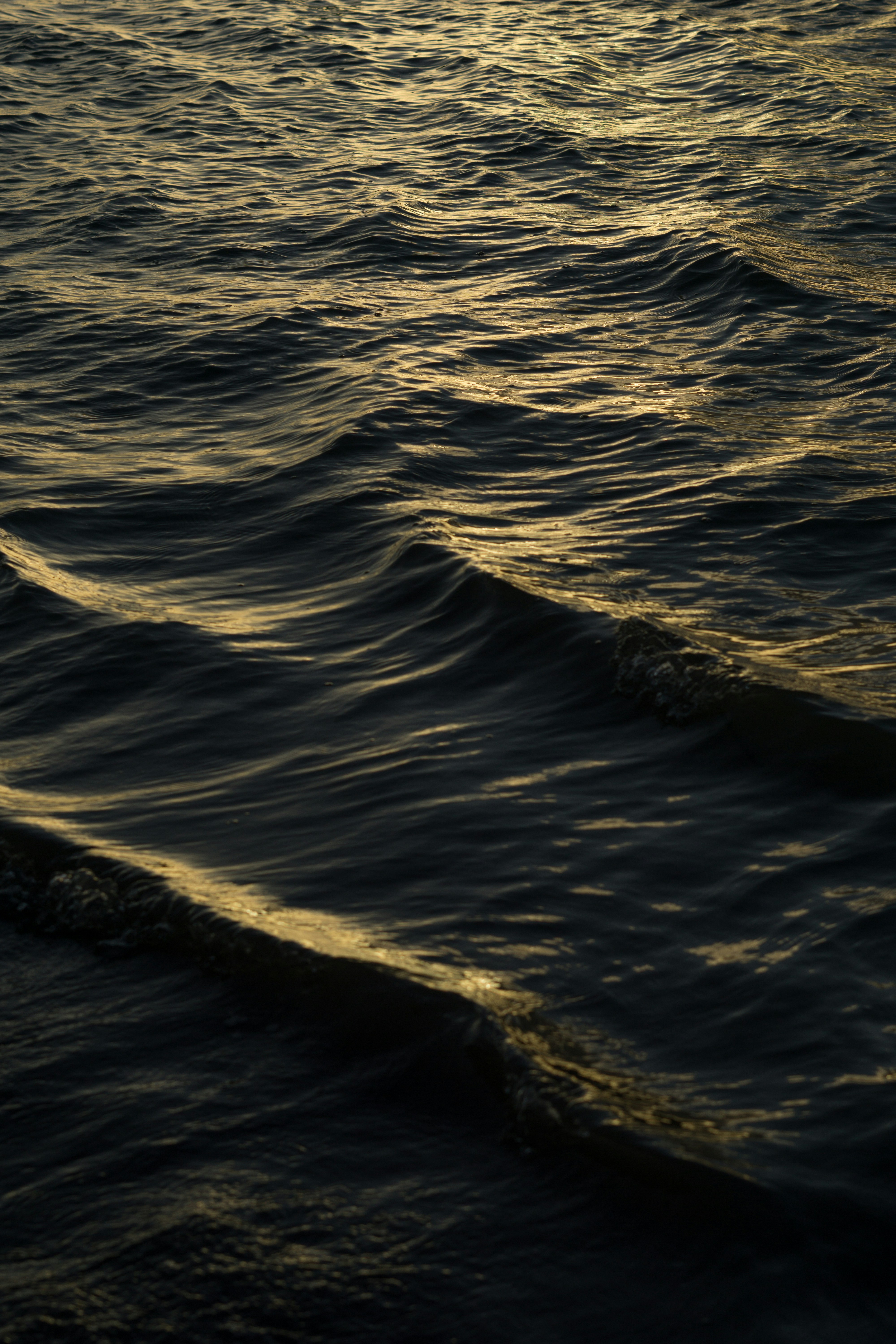 Photo by russfillerup