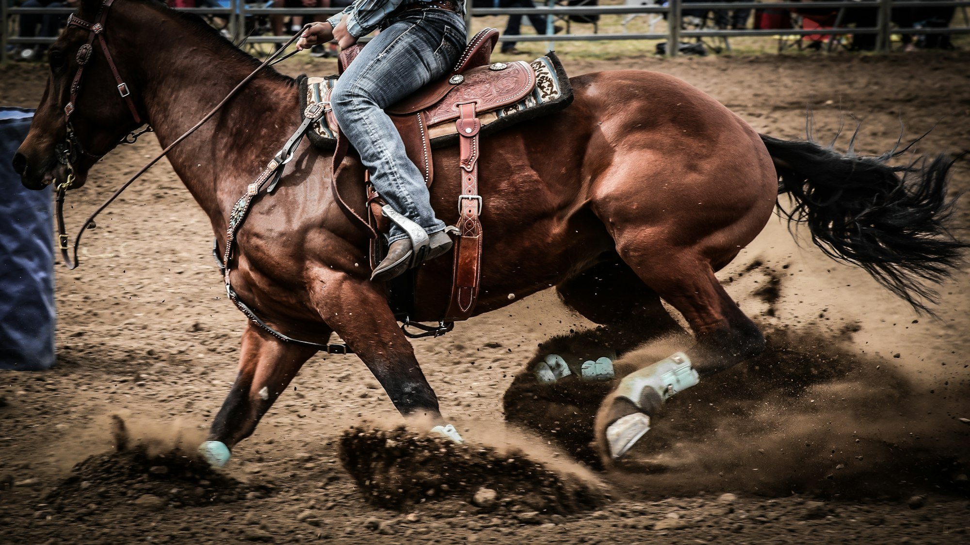 Which State Has The World's Largest Rodeo?