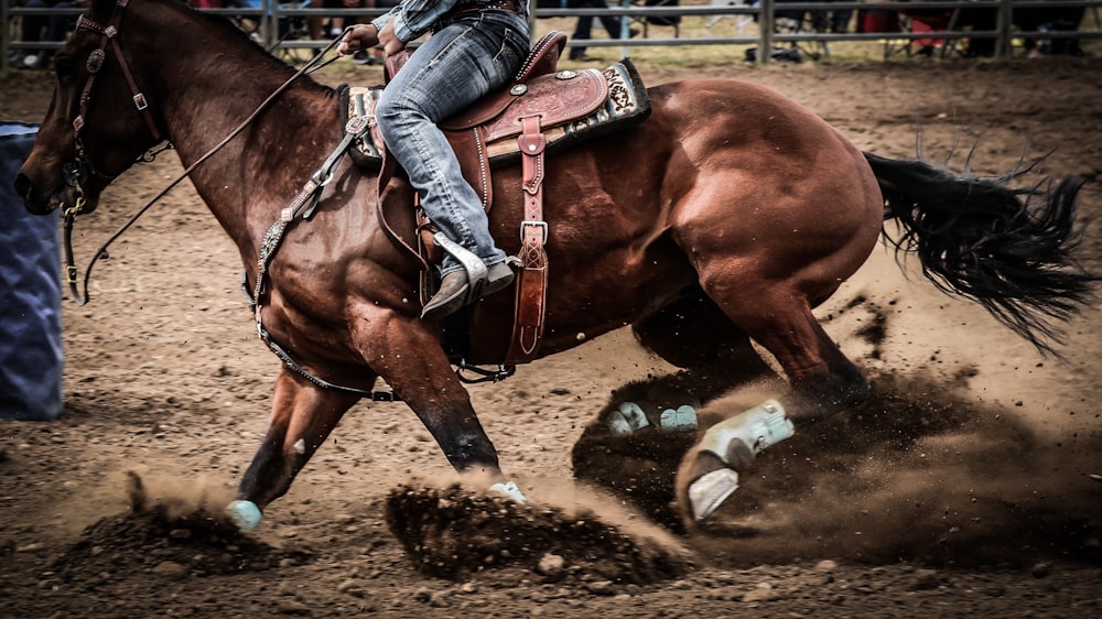 person on a running horse