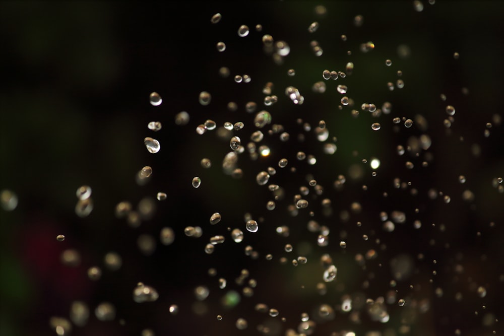 foto de foco seletivo de gotas de água