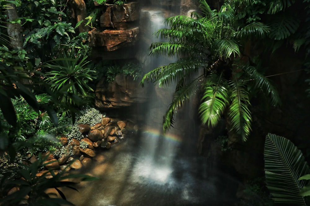 waterfalls between trees with sun rays