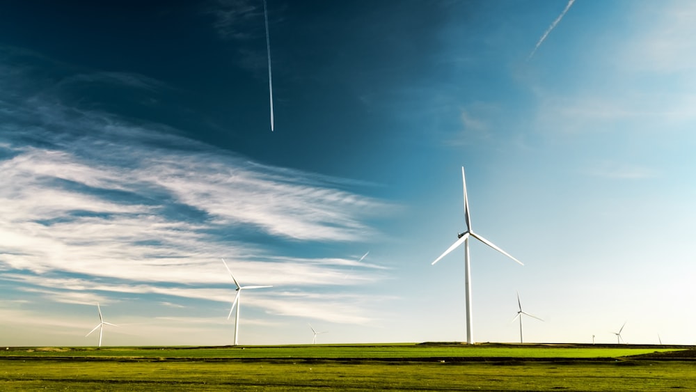 Renewable Energy Field: Wind Turbines . Green Grass