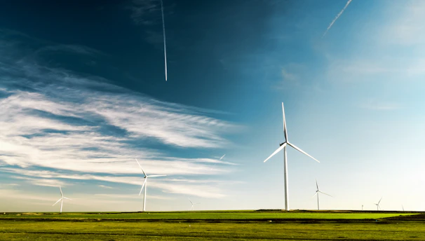 photo of wind turbines on green grass