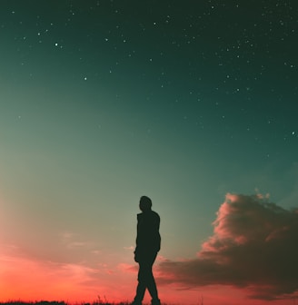silhouette of man during sunset