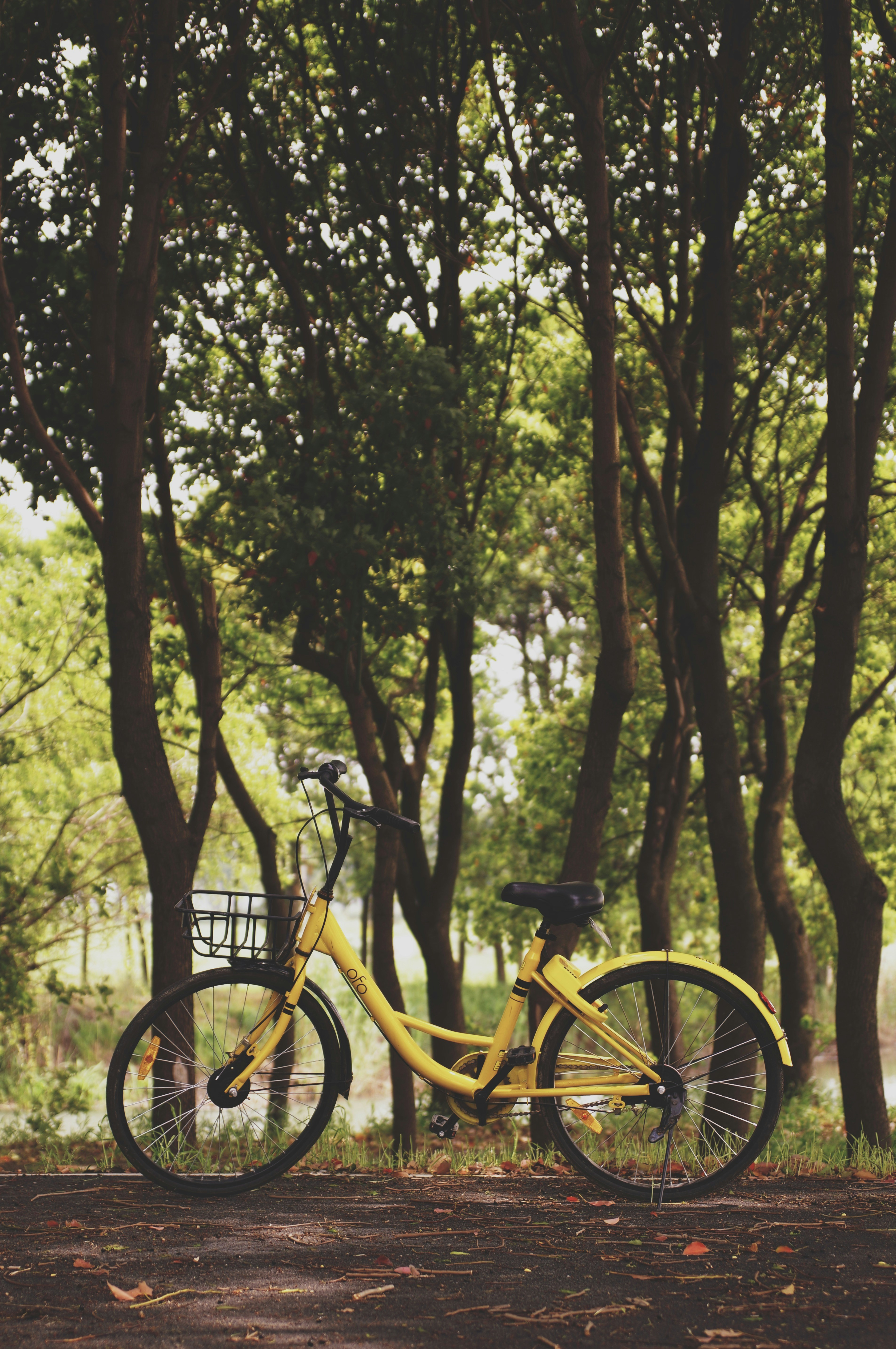 Photo by alvannee