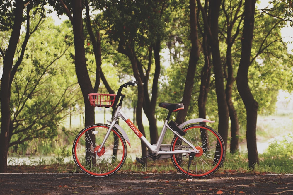 red and gray city bike near green leaf trees at daytime