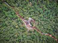 Aerial view of several plots of land outlined within a dense forest.