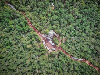 Aerial view of a dense forest with a small clearing where several wooden structures are situated. There is a clear path leading to and around the structures, which appear to be platforms or lookout towers.
