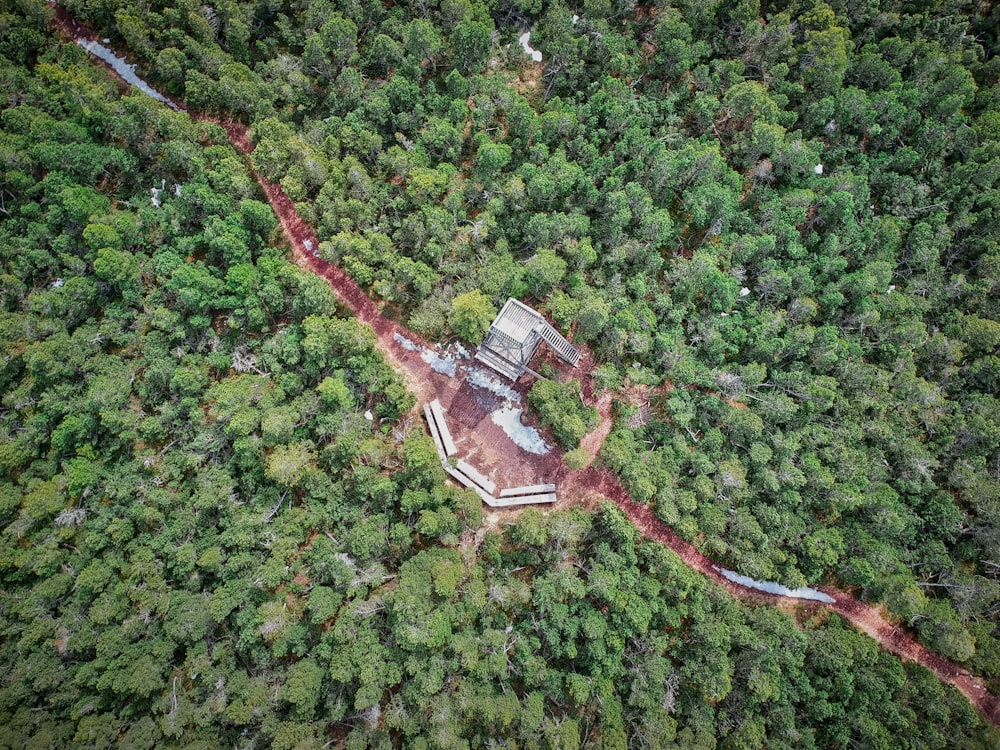 bird's eye view of house surrounded with trees