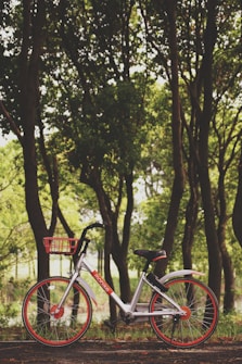 A silver and orange bicycle is parked on a pathway in a wooded area. The background features tall trees with lush green foliage, creating a serene and natural setting. The bicycle has a basket at the front and appears to be a rental bike, as indicated by the branding visible on the frame.