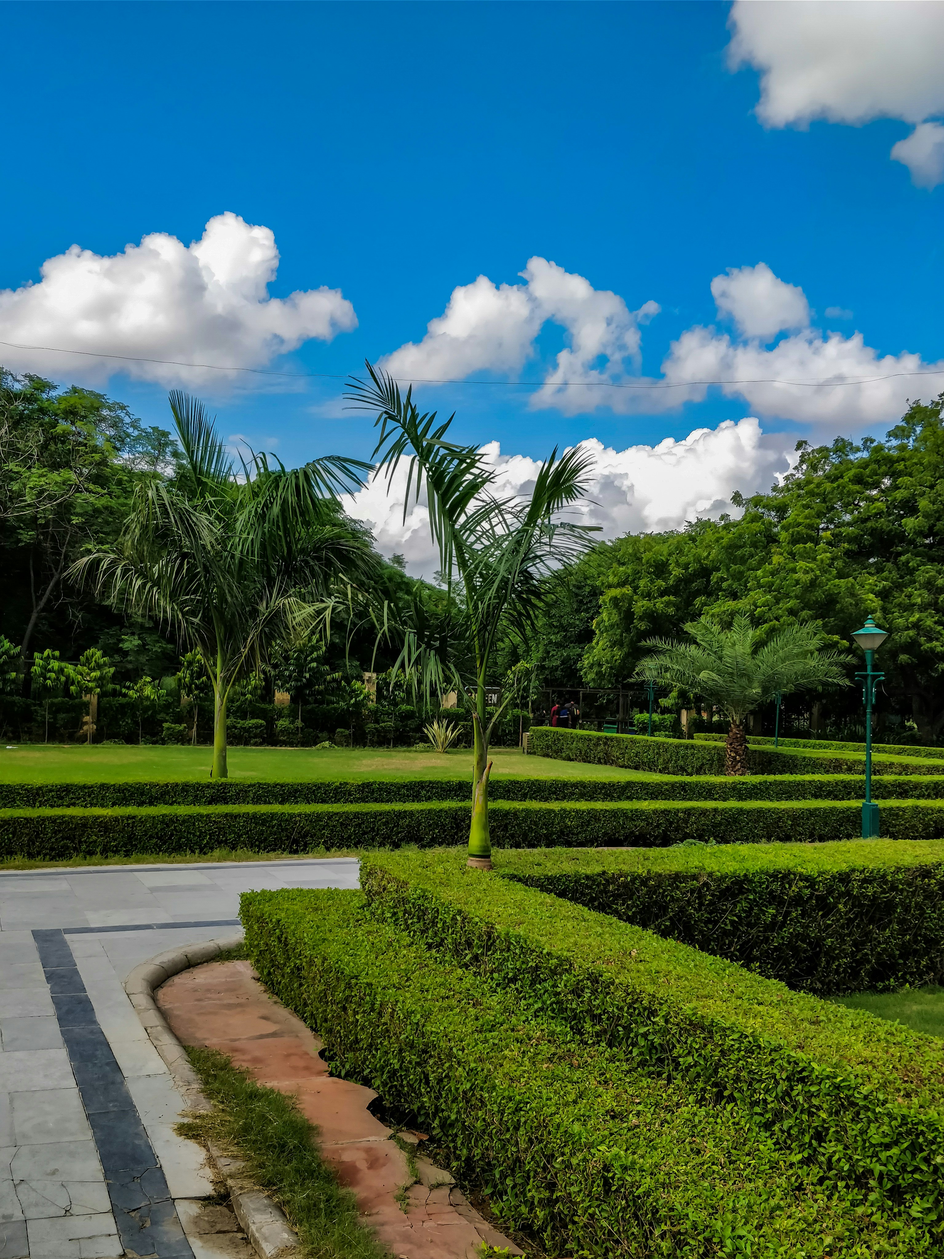 Beautiful green garden with manicured lawn, flowering plants and palm trees, bright sunlit outdoor garden