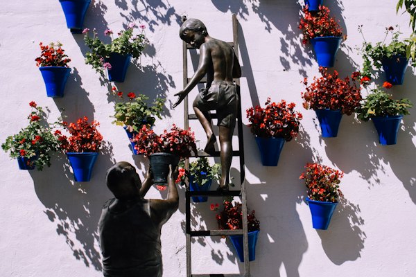 Boy climbing on ladder near plant pots mounted on wall — Córdoba, Spain