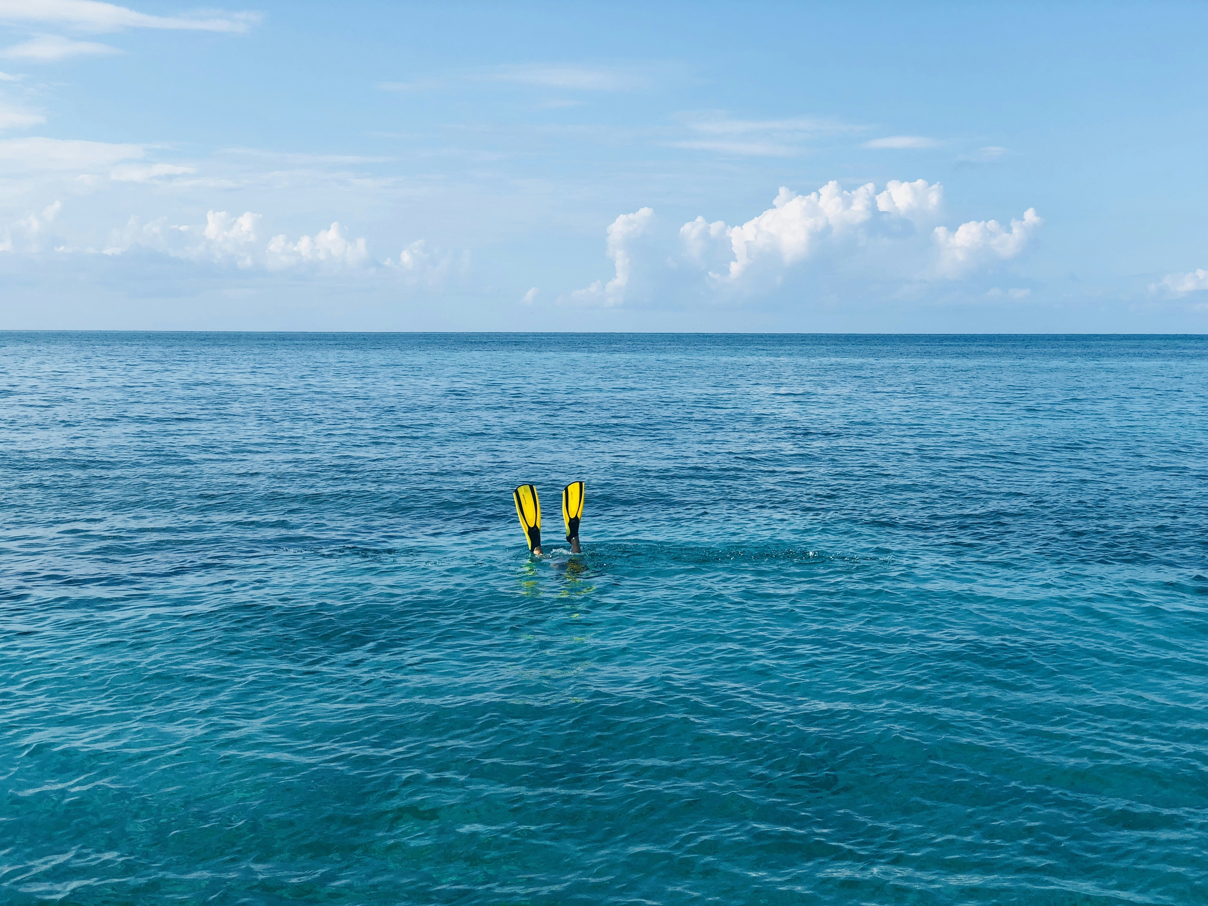 we were in the middle of the Atlantic ocean, snorkelling looking for some sea life when my mom decided to go all the way under, and then in the spot of the moment, I took a burst as she was going down and this picture was perfect, the middle of the ocean and the only thing you can see is the horizon, the ocean and two yellow flippers. This photo reminds me that life is like the ocean it can be calm or still, and rough or rigid, but in the end, it’s always beautiful.