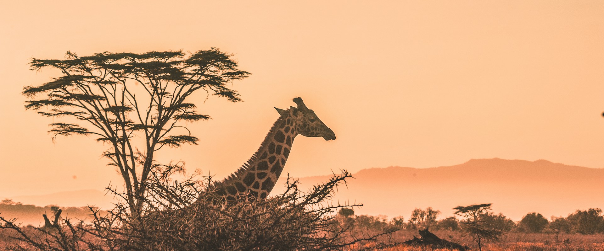 Tanzania