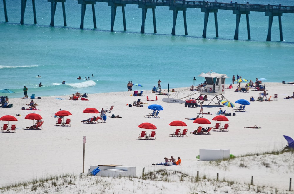 group of people swimming on beach