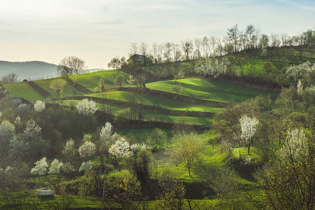 Hill photo spot Transylvania Teliu