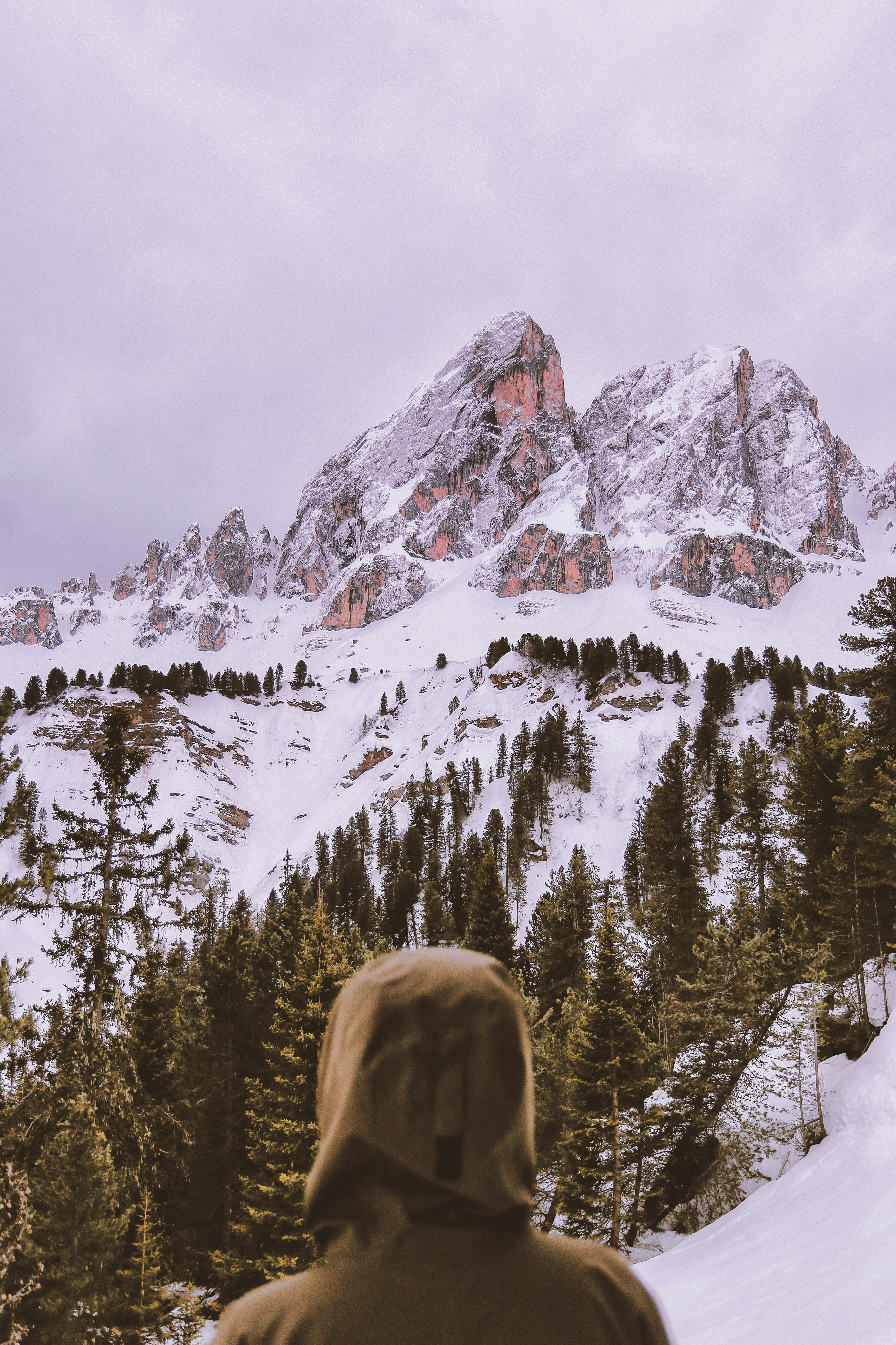 person facing snow-covered mountain