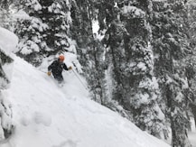 person skiing during daytime