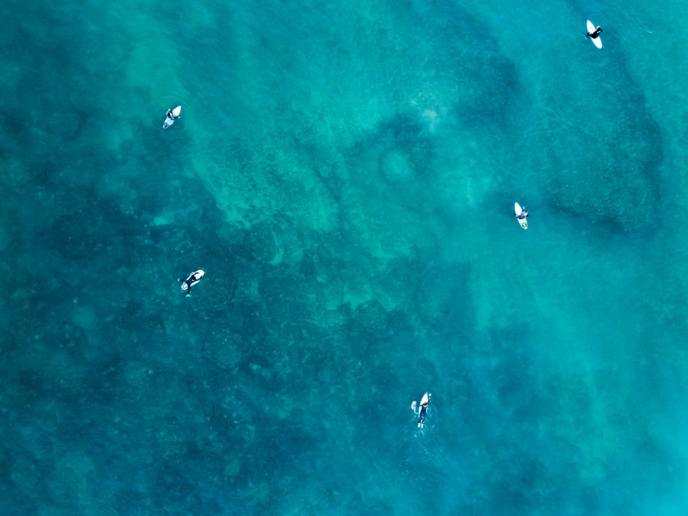 aerial photo of body of water