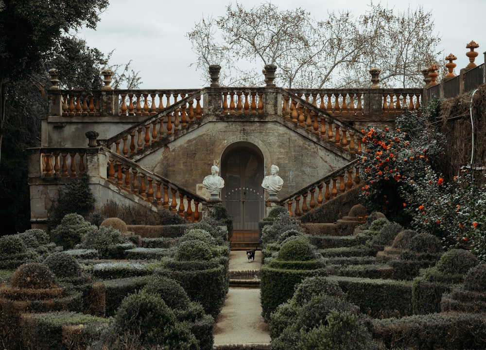 arte topiaria verde vicino alla statua