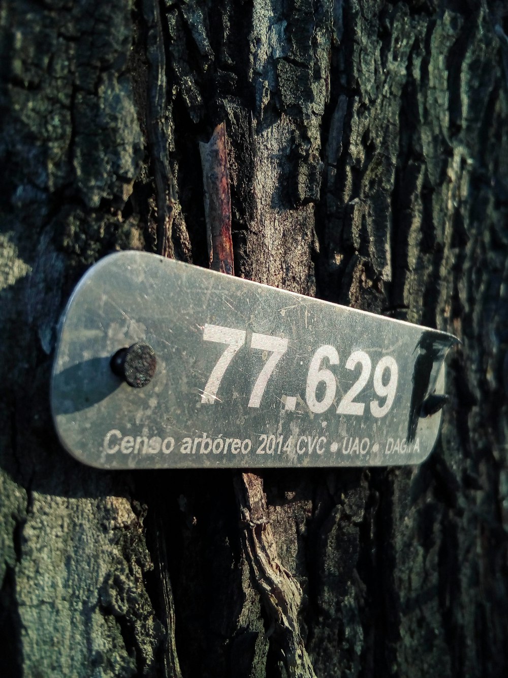 plaque de métal grise clouée sur le tronc d’arbre
