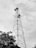 A tall metal communication tower rises into the cloudy sky. The structure is made of intersecting steel beams and features several large, circular antenna dishes mounted at various levels. At the bottom of the image, leafy branches of a tree are visible, adding a natural element to the scene.