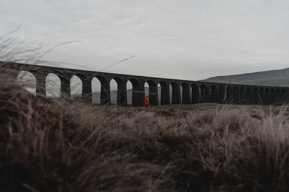 person standing near concrete bridge