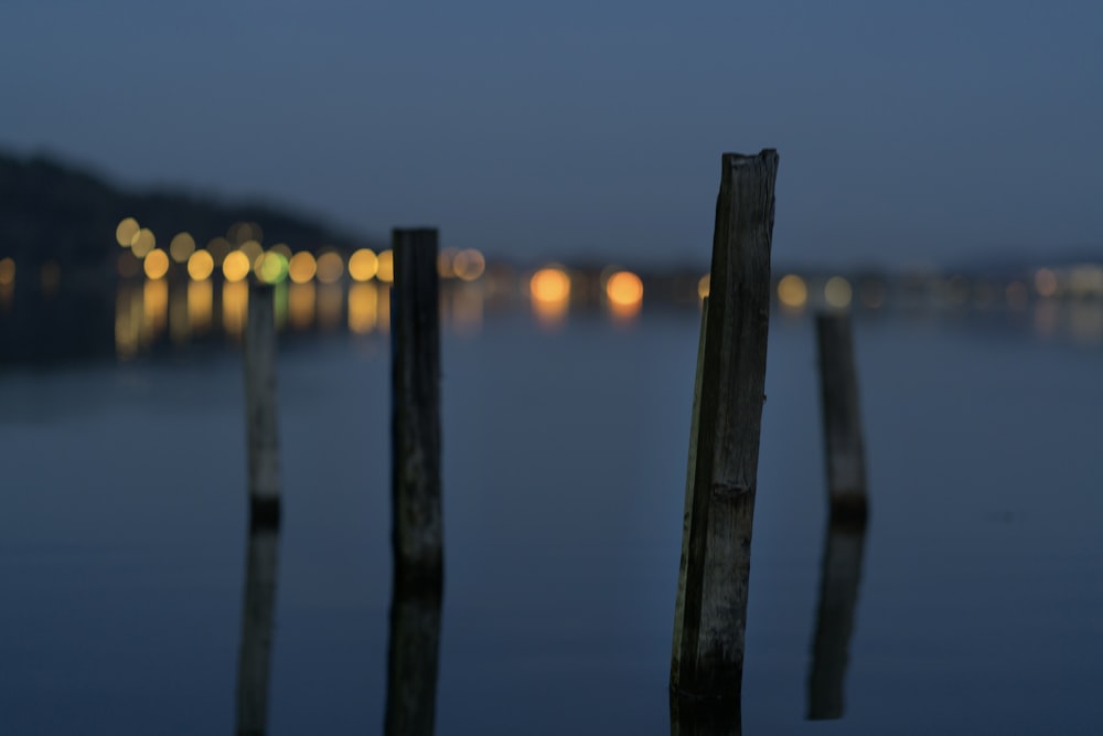 grau wooden fence on body of water bokeh photography
