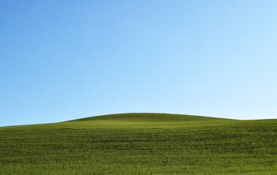 photo of green grass field in Montescudaio Italy