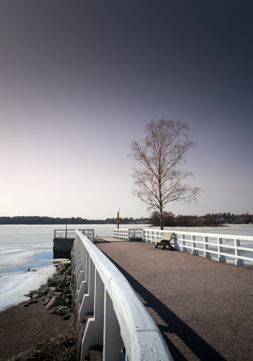 white wooden fence near body of water during daytime