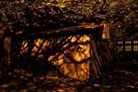 Garage door with integrated windows casting patterned shadows on the driveway.