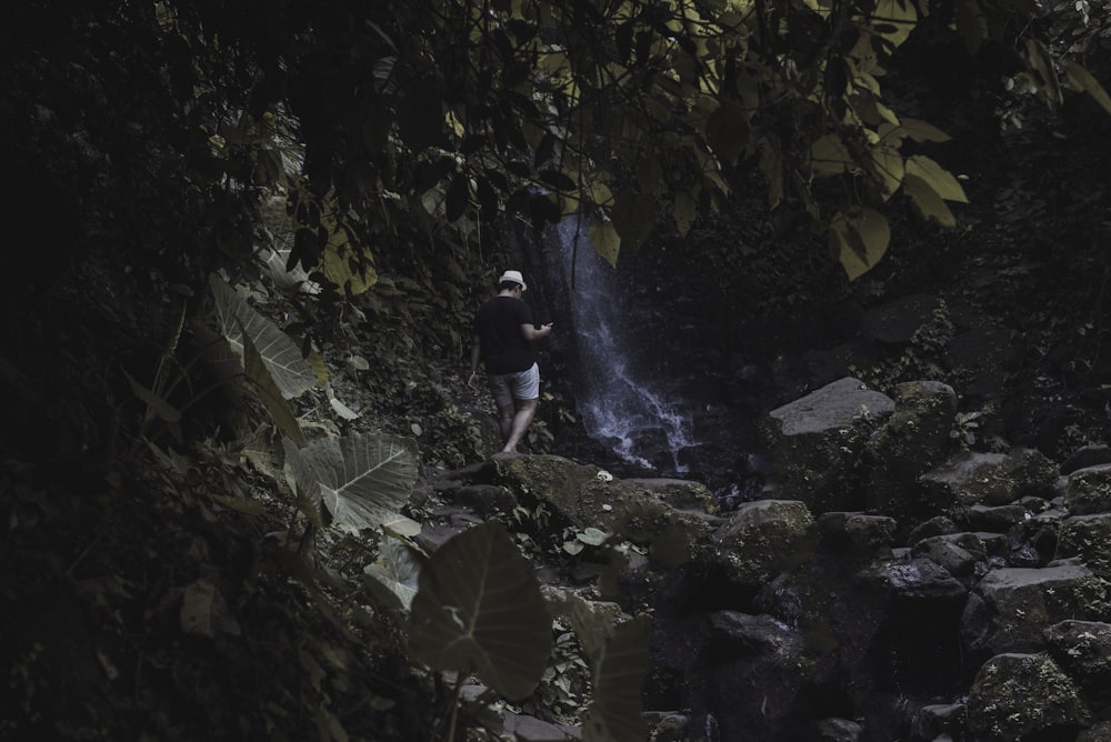 person standing near waterfall in forest