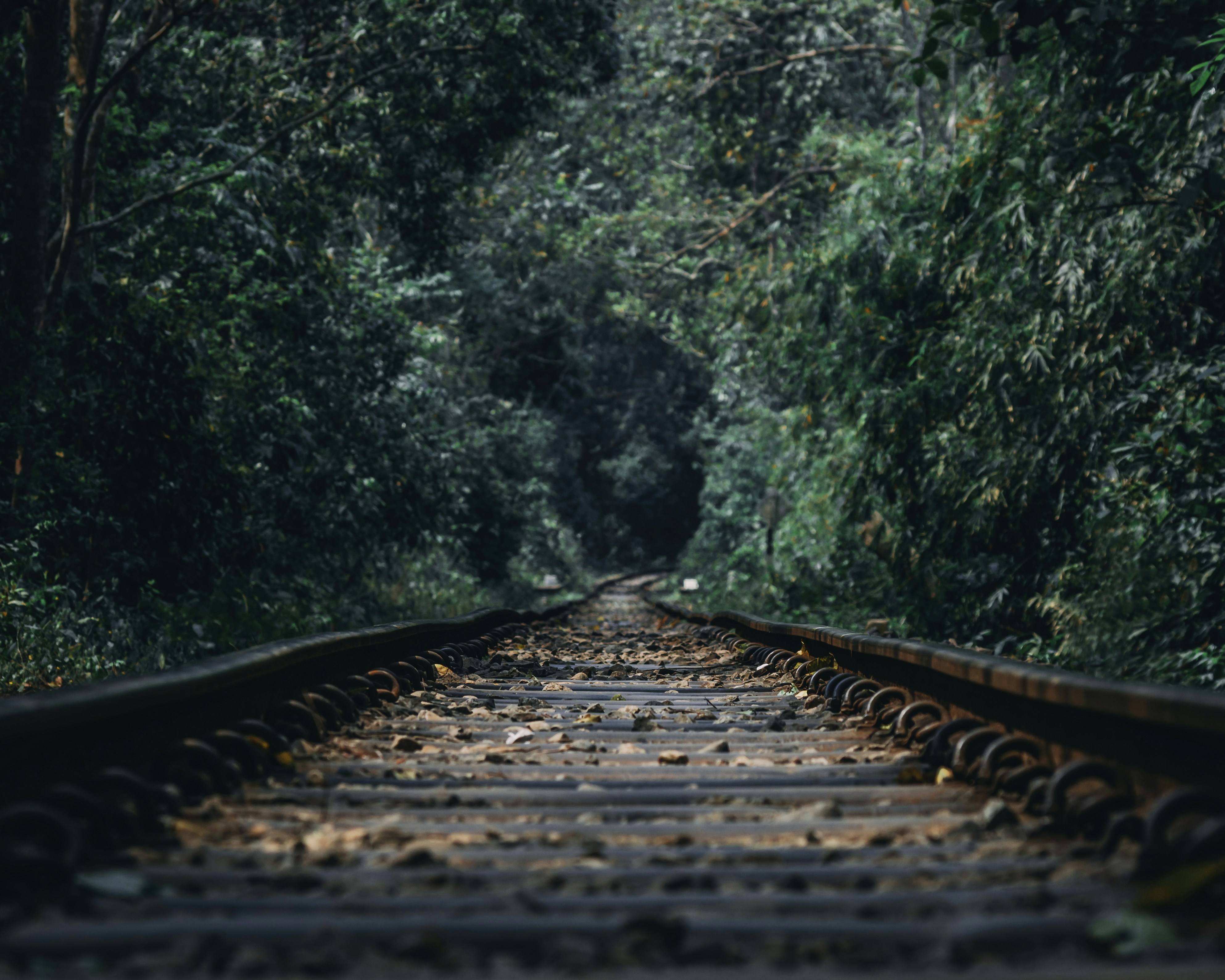 Darkness Before Light