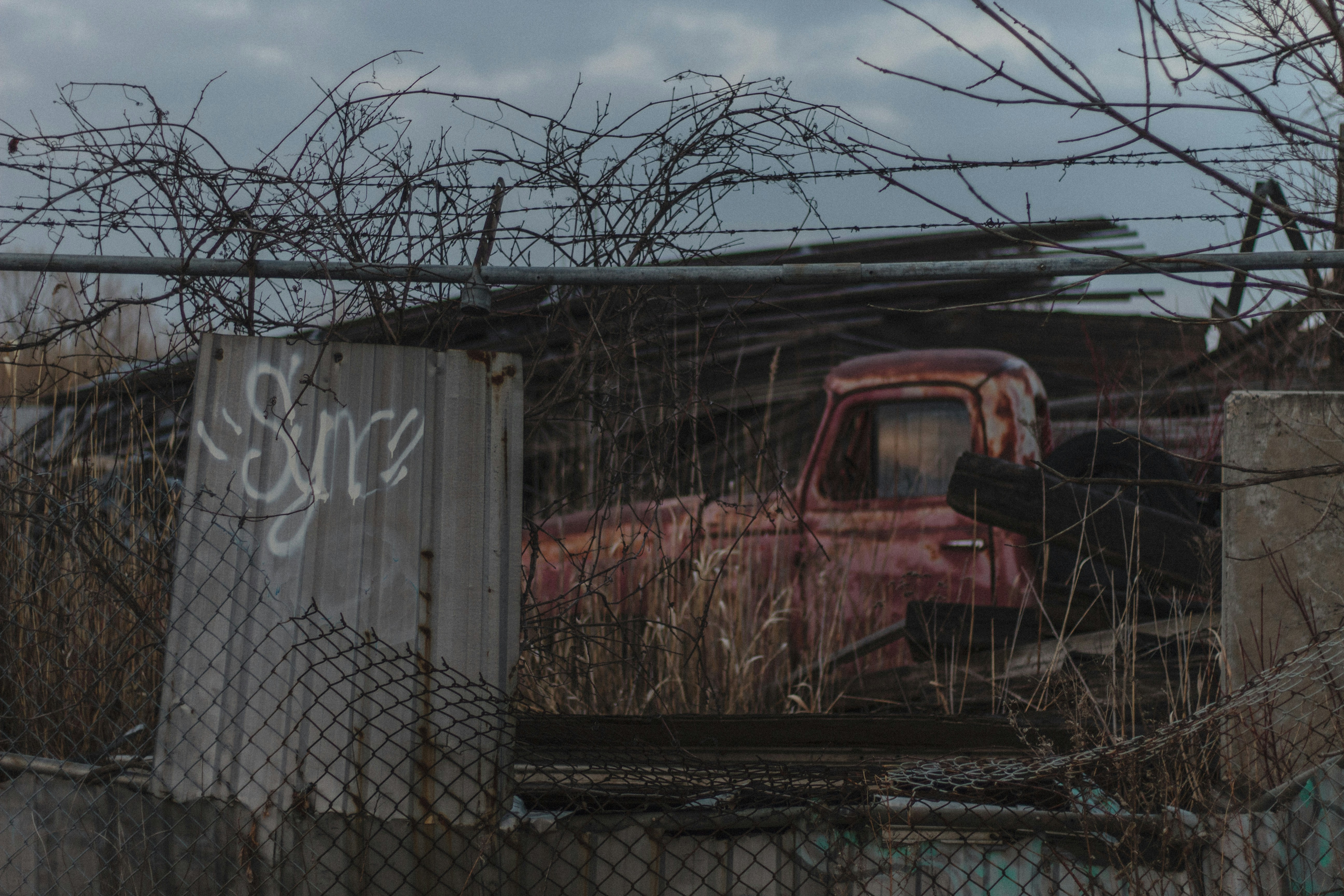 Timothy Rose (@timothywilliamrose) | Komunitas Foto Unsplash