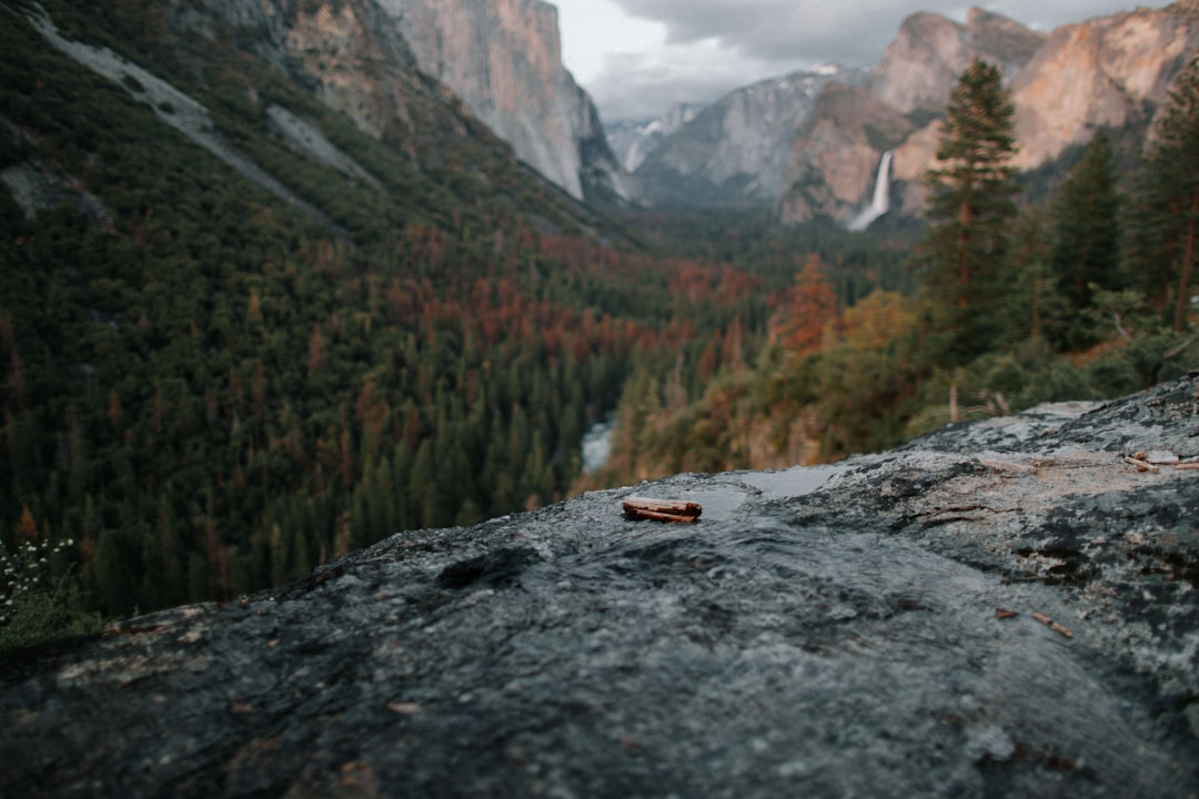River photo spot Yosemite Valley Alpine
