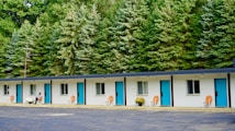 A single-story motel building with a row of five doors and windows, each featuring bright blue doors and orange chairs placed outside. White potted flowers are seen beside a person seated near one of the rooms. The background is dominated by a dense line of tall evergreen trees, adding a natural feel to the setting.