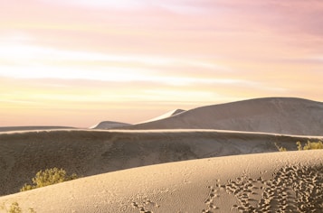 Golden sand dunes stretch across the landscape under a vibrant sky with hues of pink and orange. The smooth curves of the dunes are accentuated by shadow and light, creating a serene and vast desert scene. Sparse vegetation is visible, adding a touch of green to the otherwise earthy palette.