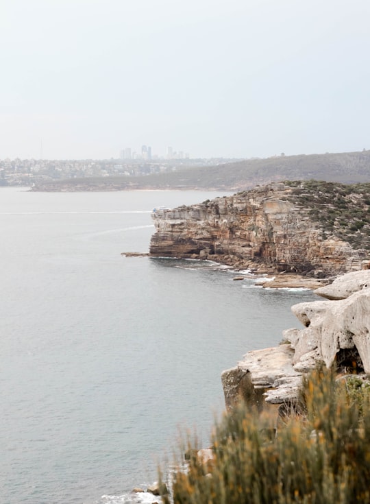 aerial view of body of water in Sydney Harbour National Park Australia