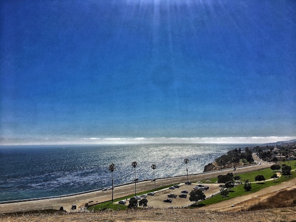 A rental car parked near a scenic coastal road with palm trees