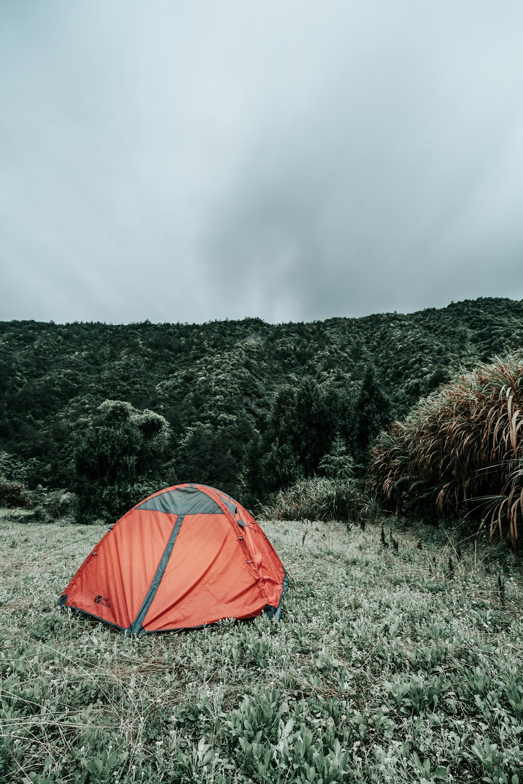 grey and red dome tent