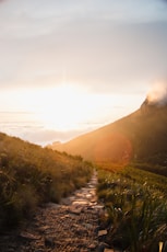 sun shining over mountain ranges with grass field