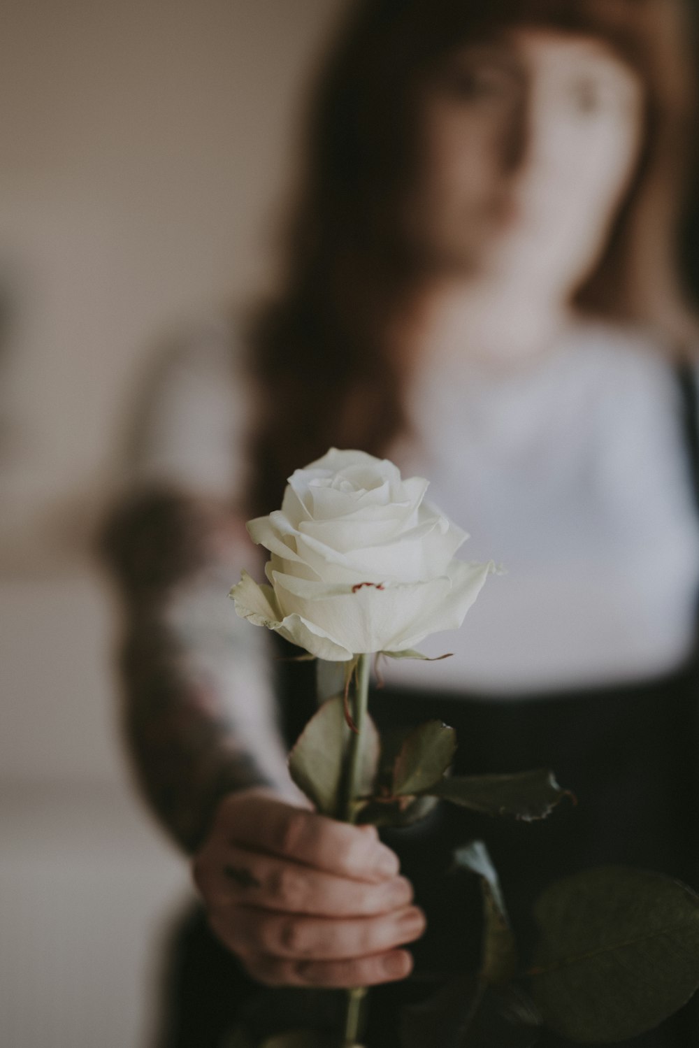 Mujer sosteniendo una rosa blanca