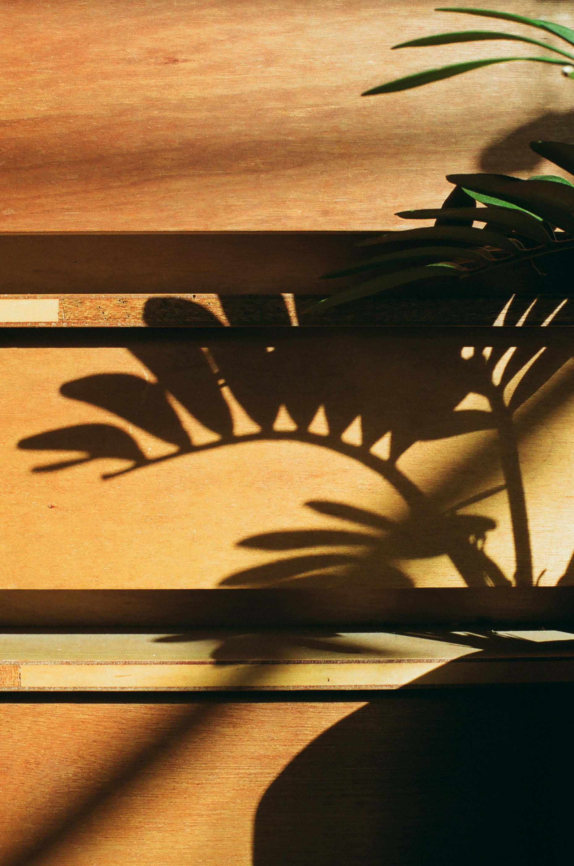 黑洞电影完整版，韩国电影黑洞电影完整版