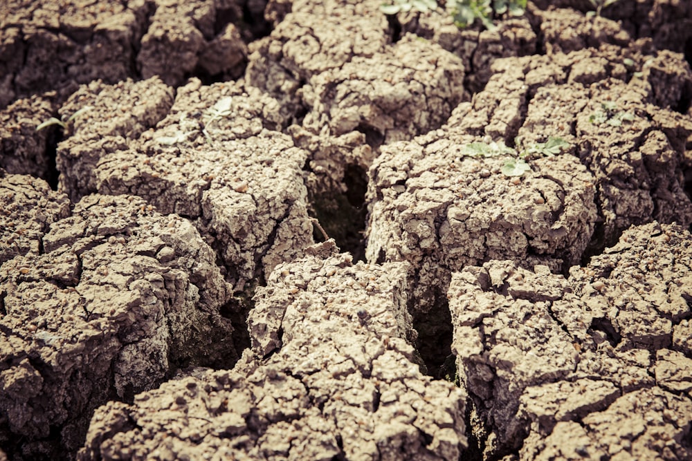 cracked brown soil