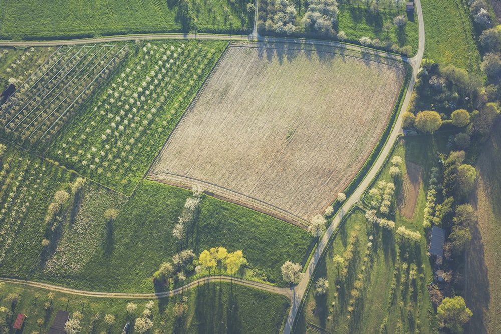 bird's eye view of field