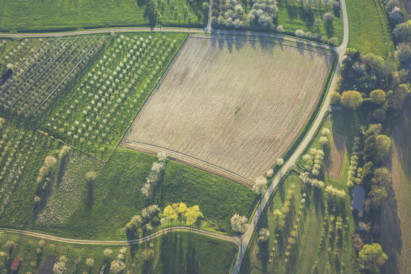 Vista aérea de campos agrícolas