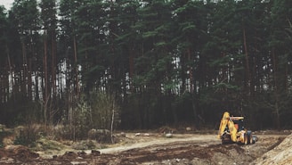 yellow front-loader near trees