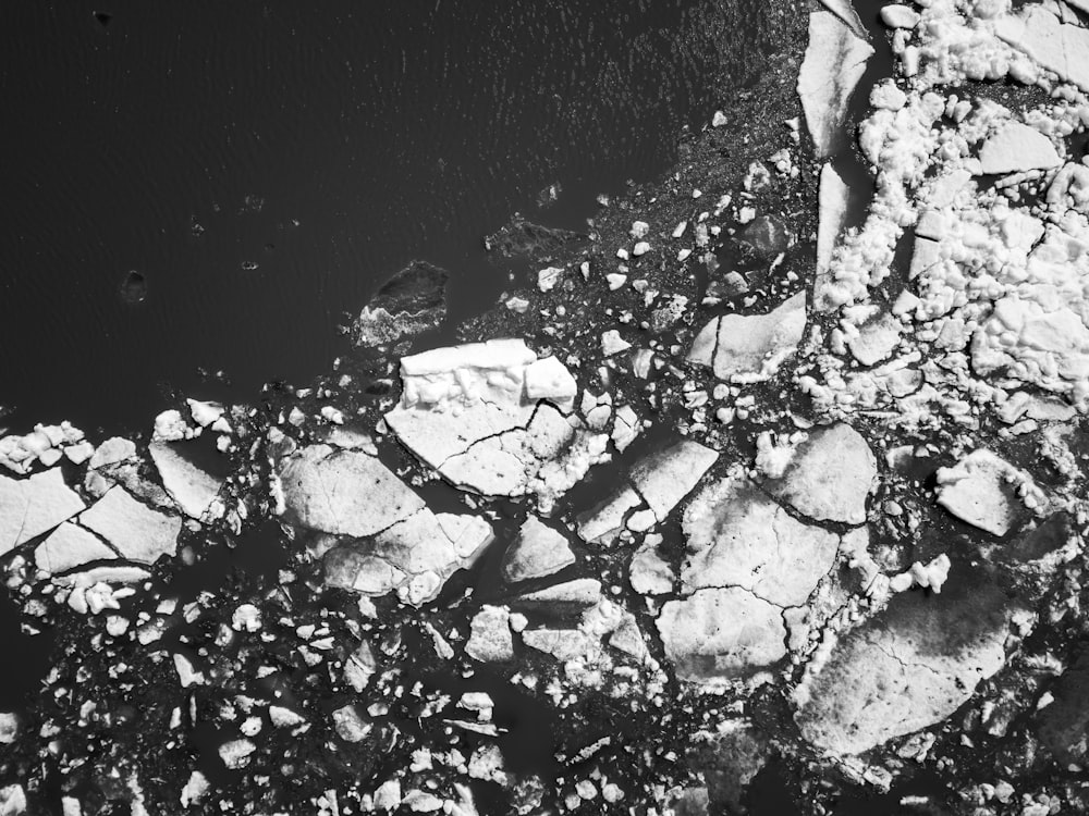 aerial photography of icebergs