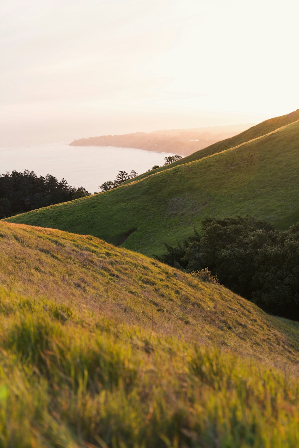 landscape photography of mountain